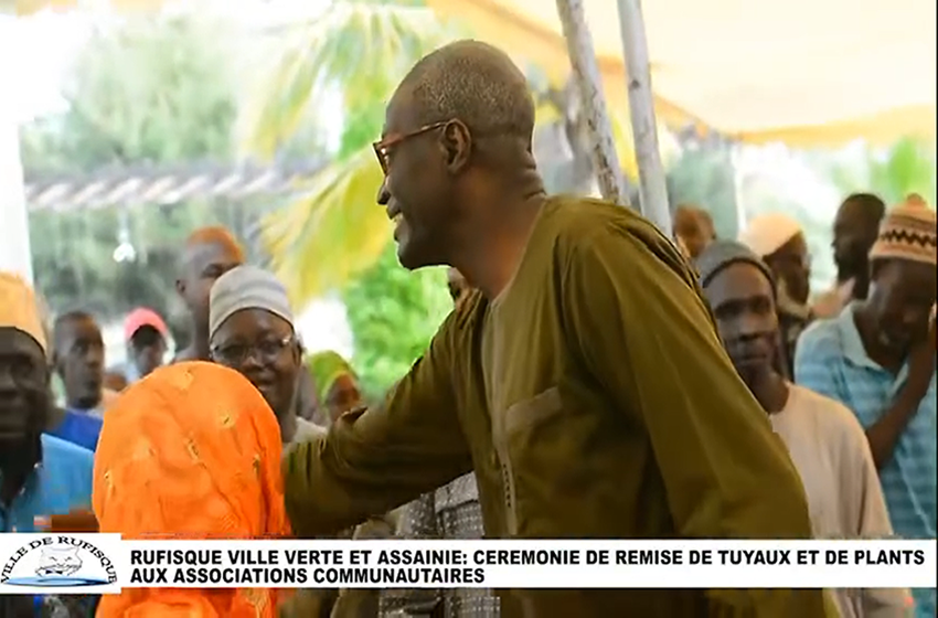 Distribution massive de plants et de tuyaux