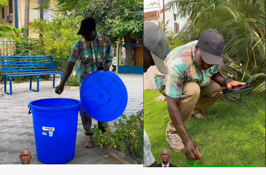 La Place Alé Gaye Diop évolue